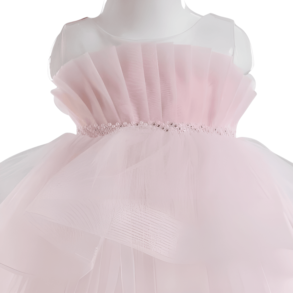 Blossom Baby Girls Formal Dress - BabyNestia